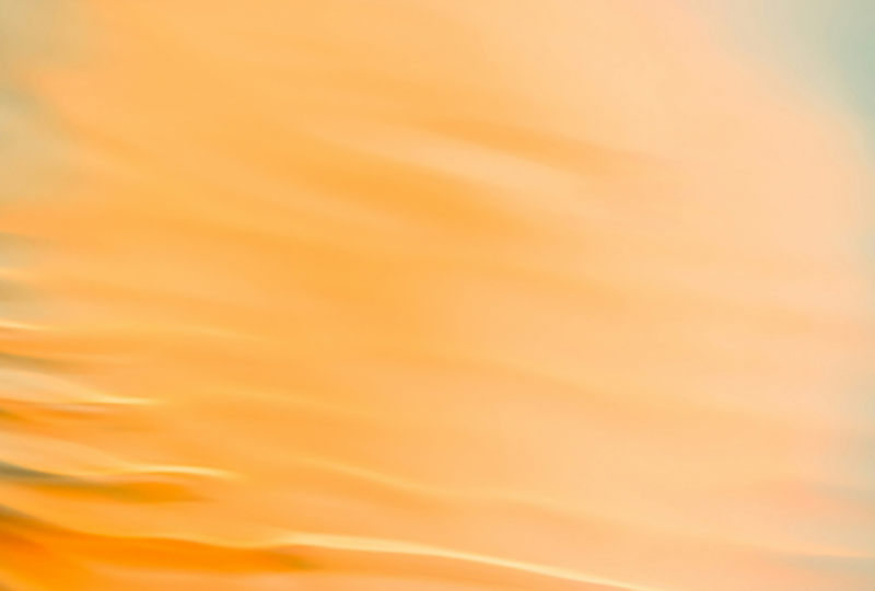 mariola-grobelska-RIE6SqXrdsU-unsplash 2.png