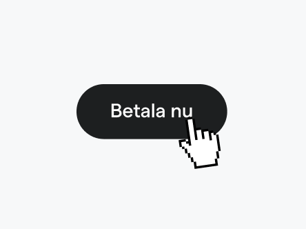 terminal_standalone_66.png